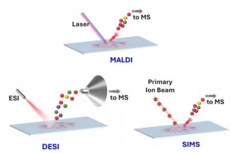 Common Mass Spectrometry Imaging Techniques